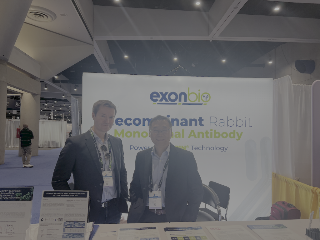 Antibody recognizing Aβ42 protofibrils in translational neuroscience