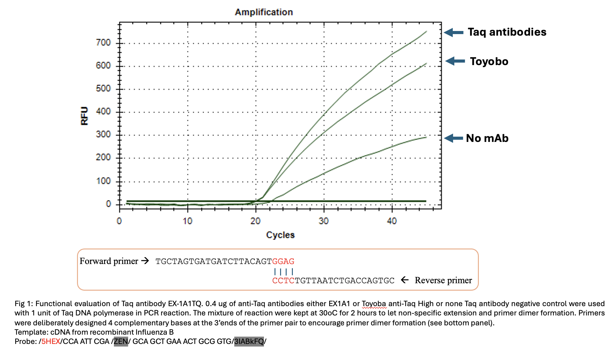 Anti-Taq Antibody